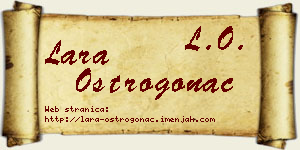 Lara Ostrogonac vizit kartica